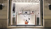 escaparate